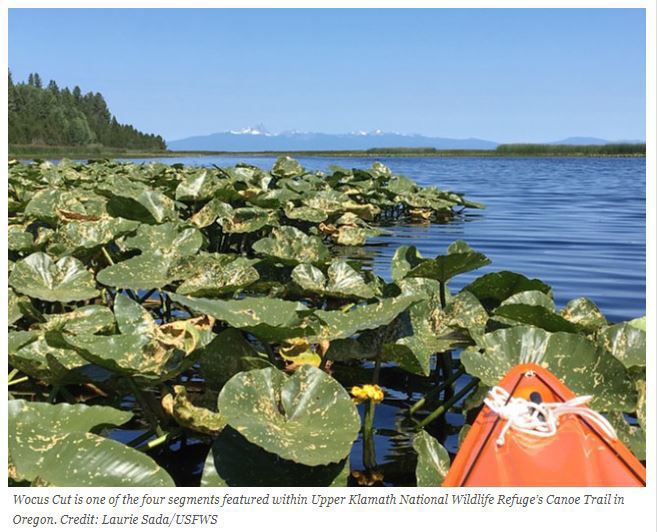 8. Upper Klamath National Wildlife Refuge: Canoe Trail